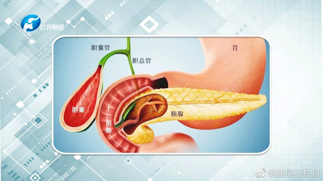 重症医学解密系列科普 | 谨防重症急性胰腺炎!