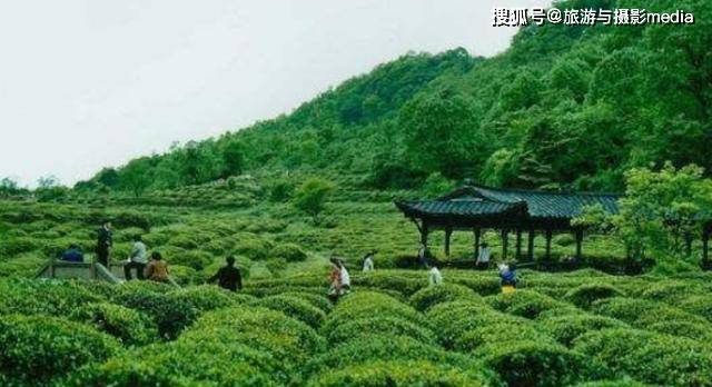 原创 四川一处超小众景点,不仅以茶闻名天下!还是世界茶文化发源地!