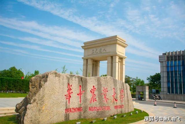全国|武汉市排名前五大学太强了！武汉大学和华中科技大学谁排名第一？