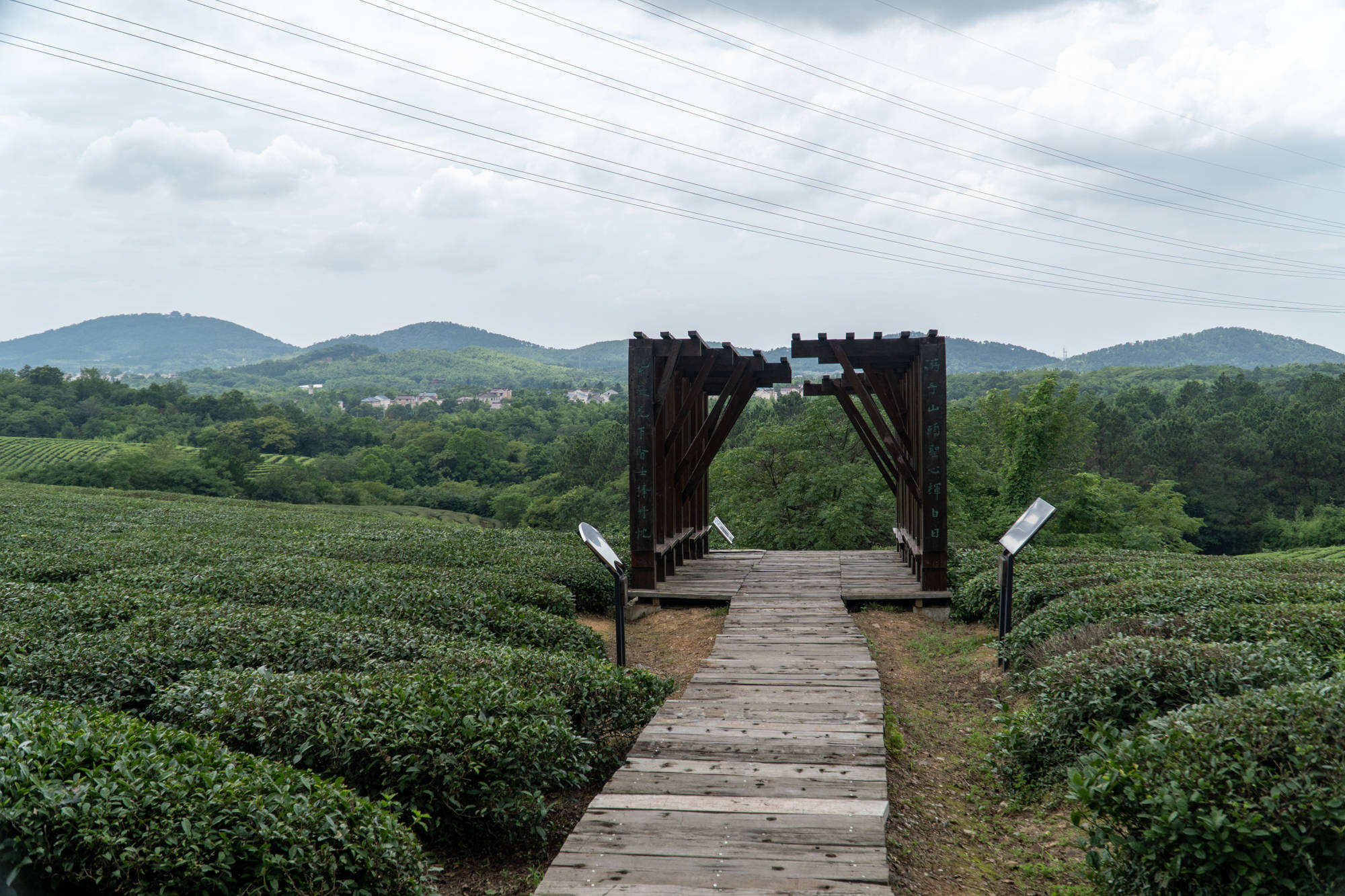 原创带你走进南京4星级景区,高淳游子山,休闲度假品茶好去处