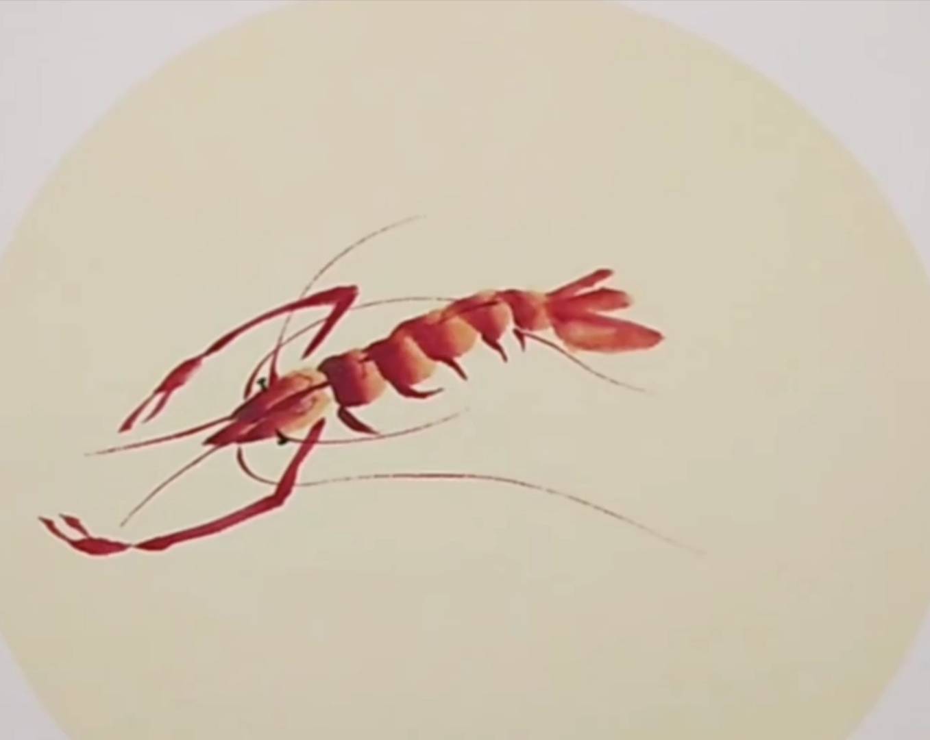 国画红彤彤的小龙虾艺术家一笔一画寥寥数笔栩栩如生
