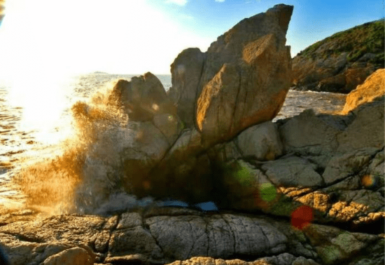 打造幸福五养公社 | 三门县蛇蟠岛千吉莱城乡融合发展典型项目