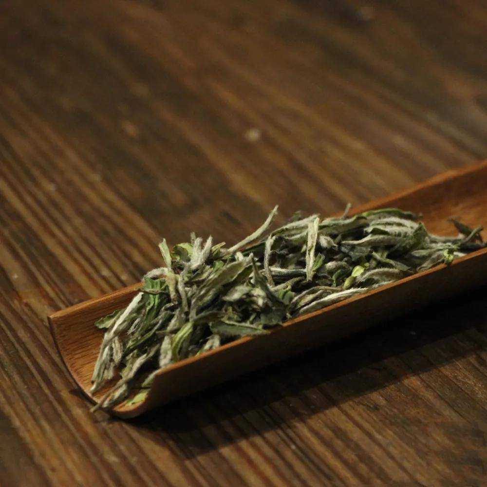 时节|养生正当时，食疗、茶疗法，总有一款适合你！小暑有“伏气”