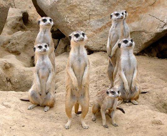 和基金|原创太火爆！ 涨得我都怕了！