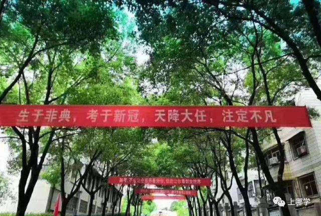 作文|2020全国高考作文题公布!上届表示看了压力大!如果是你会怎么写