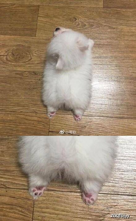 原创幽默搞笑段子集:今天看到一个老大爷穿的衣服,总感觉在哪见过