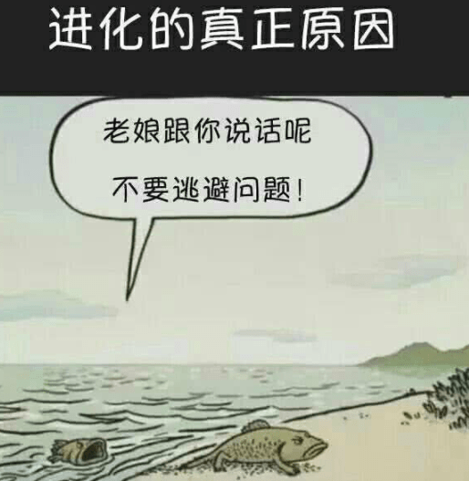 原创
搞笑段子:你还记得咱们没钱的时侯吗?盖茨:不记得。乔布斯:我...