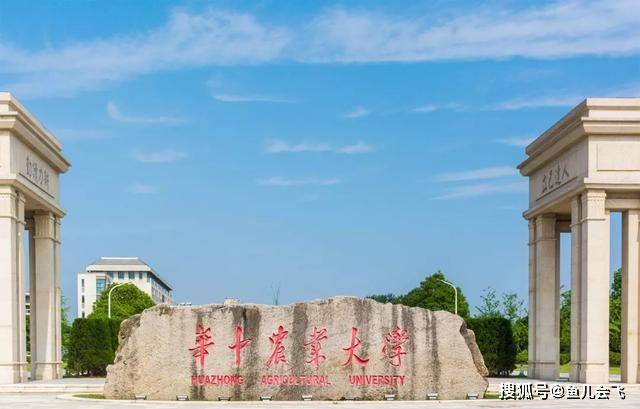 大学|华中农业大学、中南财经政法大学两所211高校2020年招生人数定了!