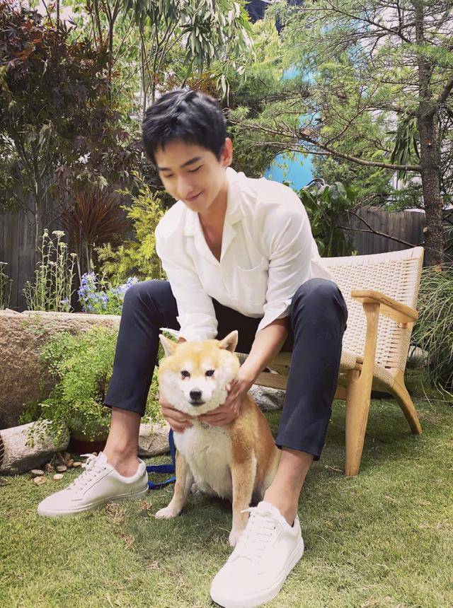 综艺|原创杨洋5年后再上综艺，录元气满满的哥哥，曾劝刘亦菲别参加真人秀