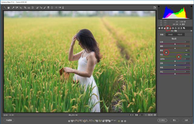 色调|探图摄影师专栏｜如何调整出一张“色调较强的低饱和”照片