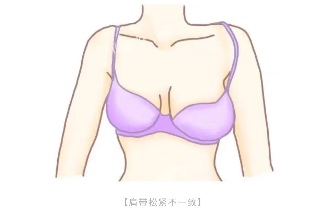 内衣知识科普 | 大小胸!
