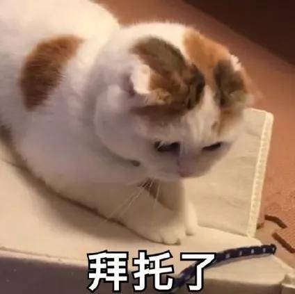 蓝天野|原创离开北京人艺的蓝盈莹，负面口碑是自己“作”出来的？