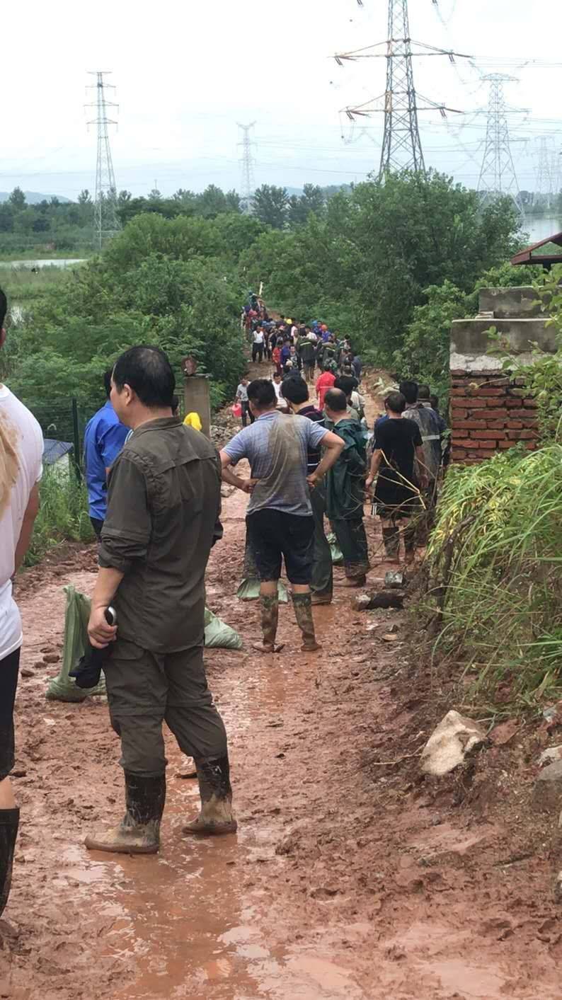 鄂州市汀祖镇刘畈村严防死守金龟山港渠安全度汛