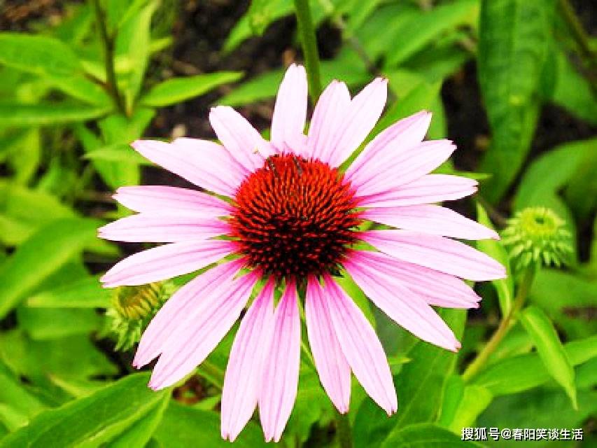 经典有内涵的朋友圈说说,睿智深刻,句句有深意