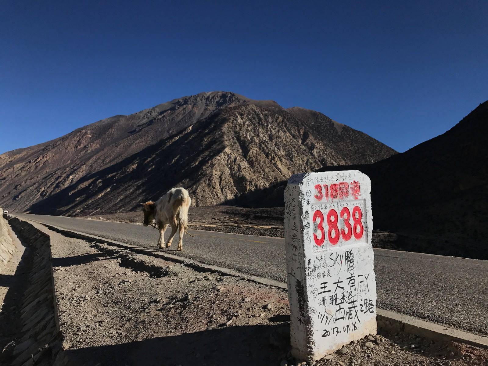 318川藏线,一条被誉为"中国人的景观大道"的公路,绝美的景色一直