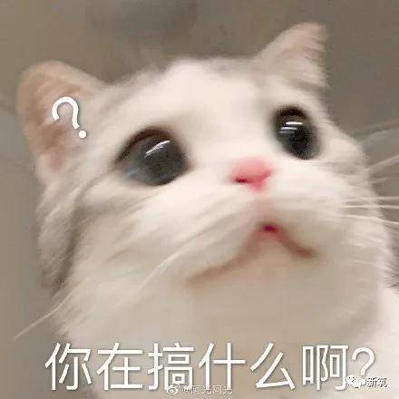微博|原创啥？李国庆俞渝高调复合了？！
