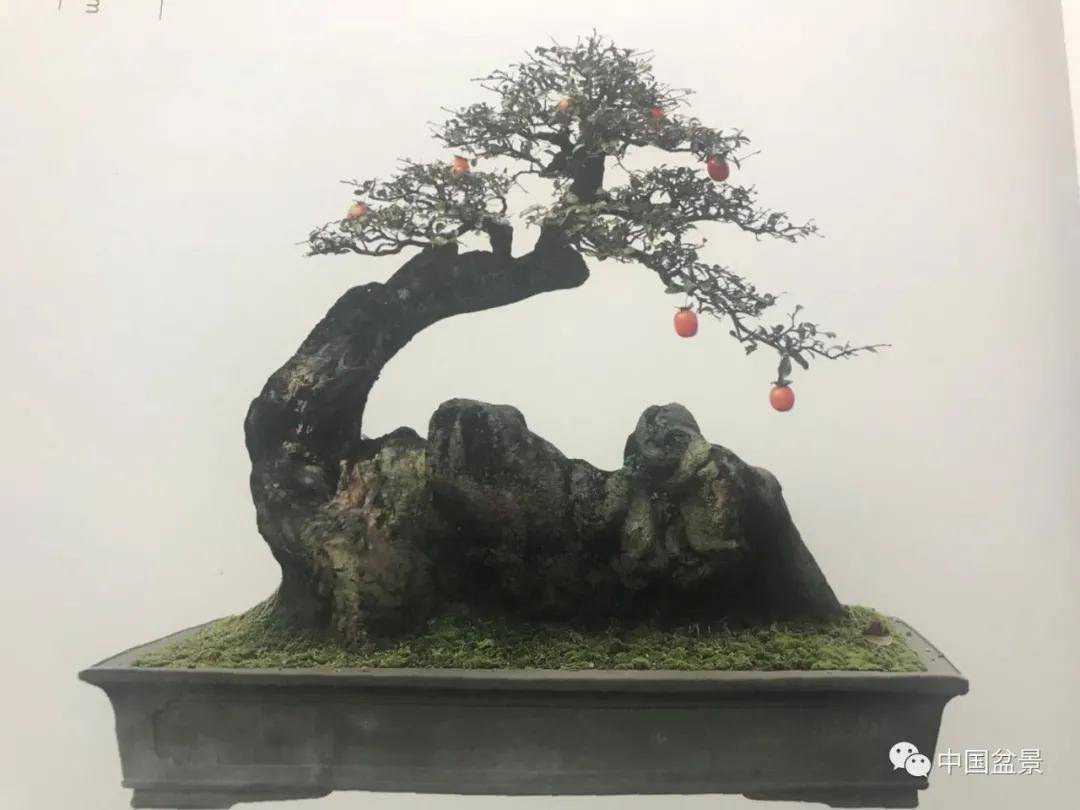 王琳：浅谈中国绘画对盆景艺术的影响