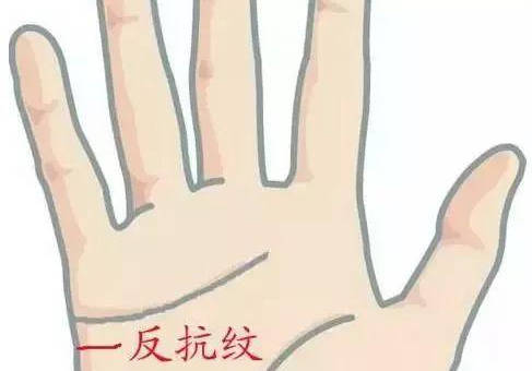 你的手心有没有这些纹路来决定你的一生_不测