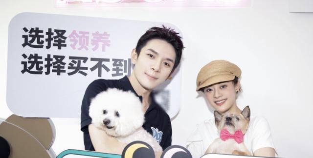 原创孙俪带儿女做公益，与李佳琦宣传领养动物，等等身高到妈妈肩膀
