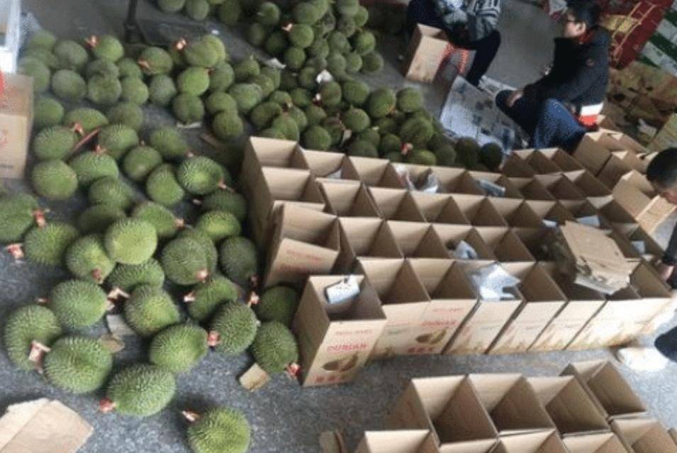 搞批发榴莲的赚钱吗