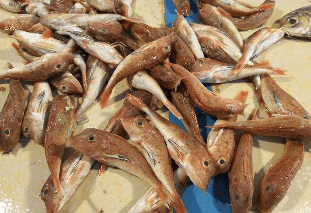 鱼多久不新鲜 35e96010b9f843fdaf05b0242068c5df.png