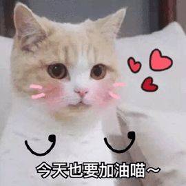 倒数5个月警告！看完学霸的作息表自愧不如！如何提高学习效率？