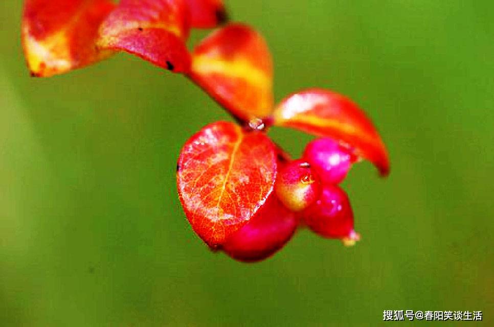 原创动人心弦的经典说说,人生没有永远的愁绪,别为难自己!