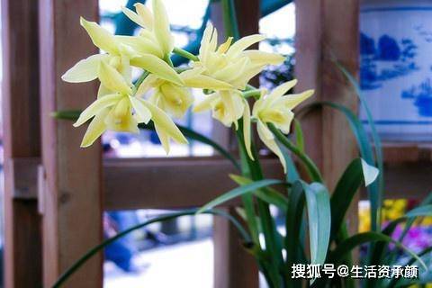 1c82c799fd6540cda54574d2a1b74449.jpeg