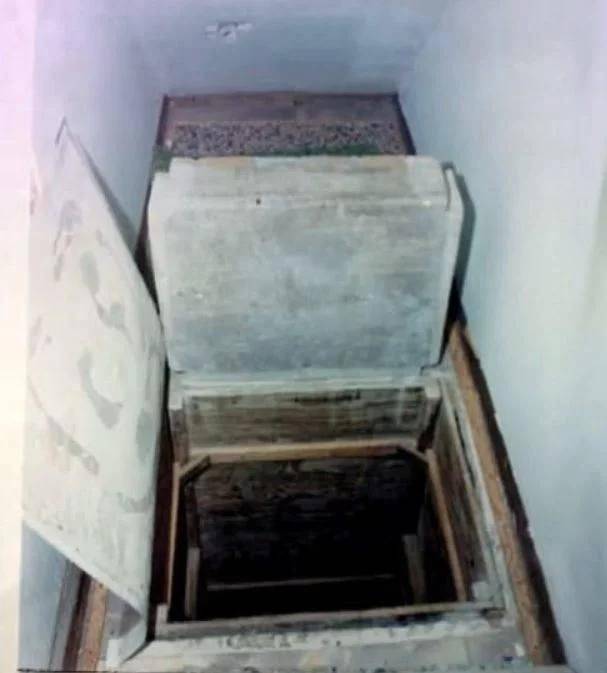 毛骨悚然！2岁被性虐，9岁被绑架，一个拴着铁链