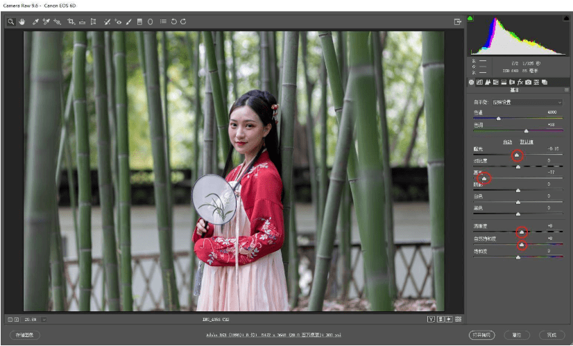 调整|探图摄影师专栏｜古装竹林人像调色详解