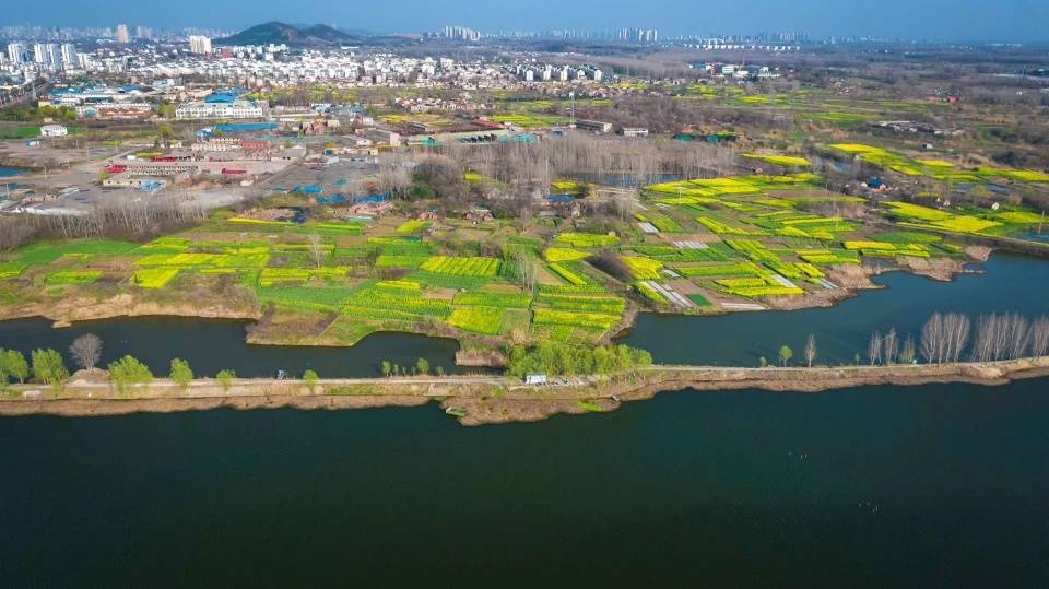 两岸|最适宜安居的淮河两岸，回顾历史，曾是自然灾害最频繁发生的区域
