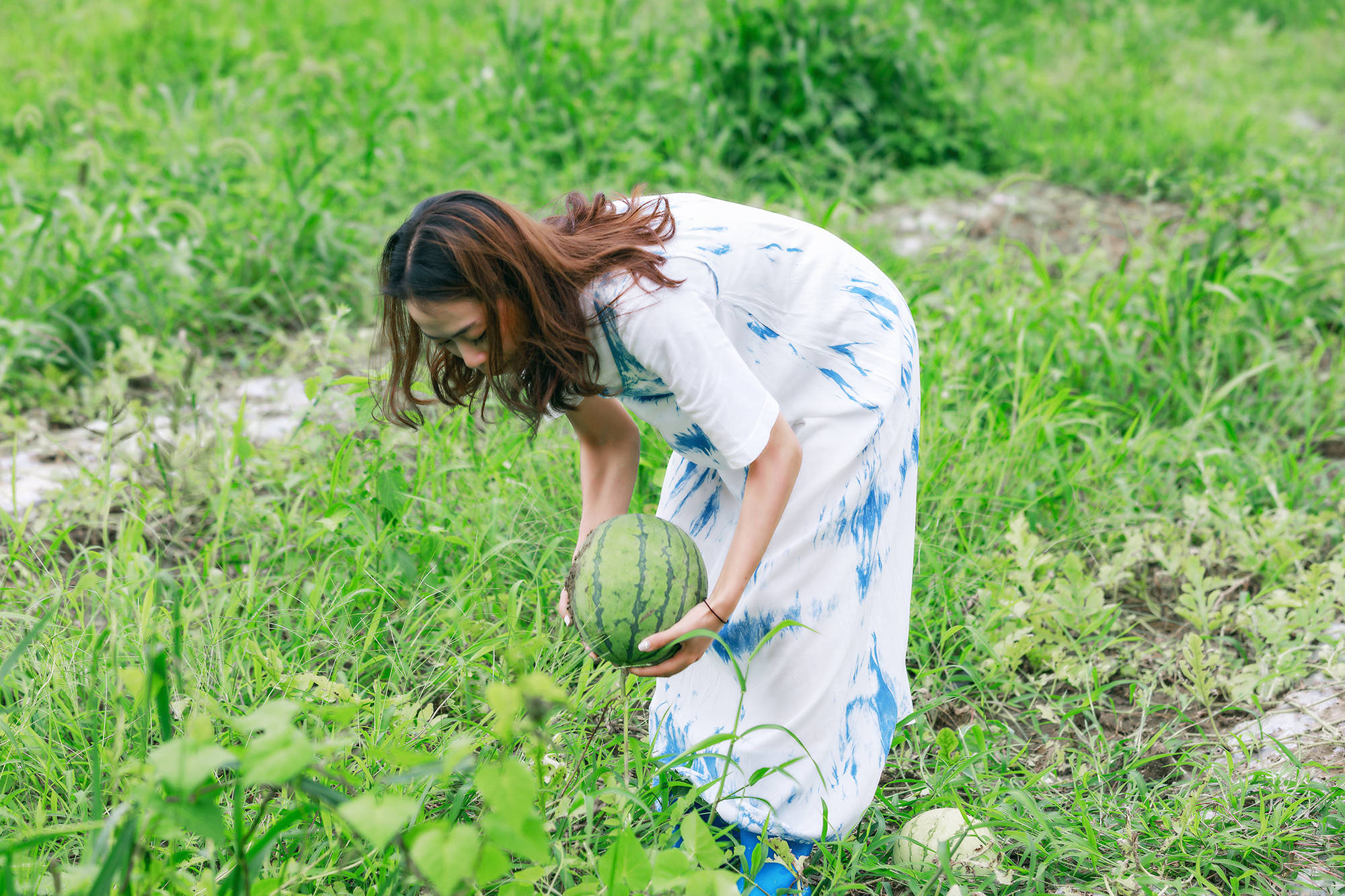 女人|正是蜜桃成熟时，番茄、蓝莓是伴娘夏风掠过北太湖