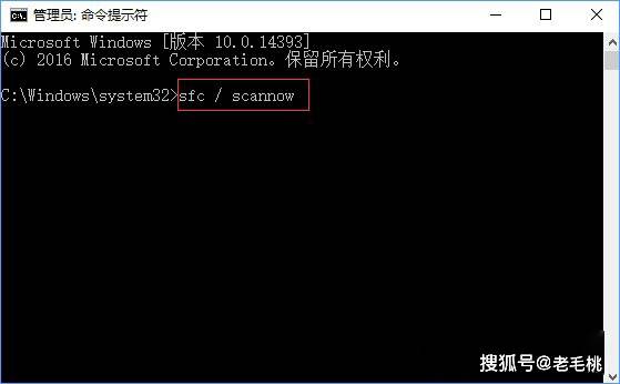 xp打开cmd找不到文件_下列哪个软件不可以用\打开\命令直接打开pdf文件_cmd打开文件资源管理器
