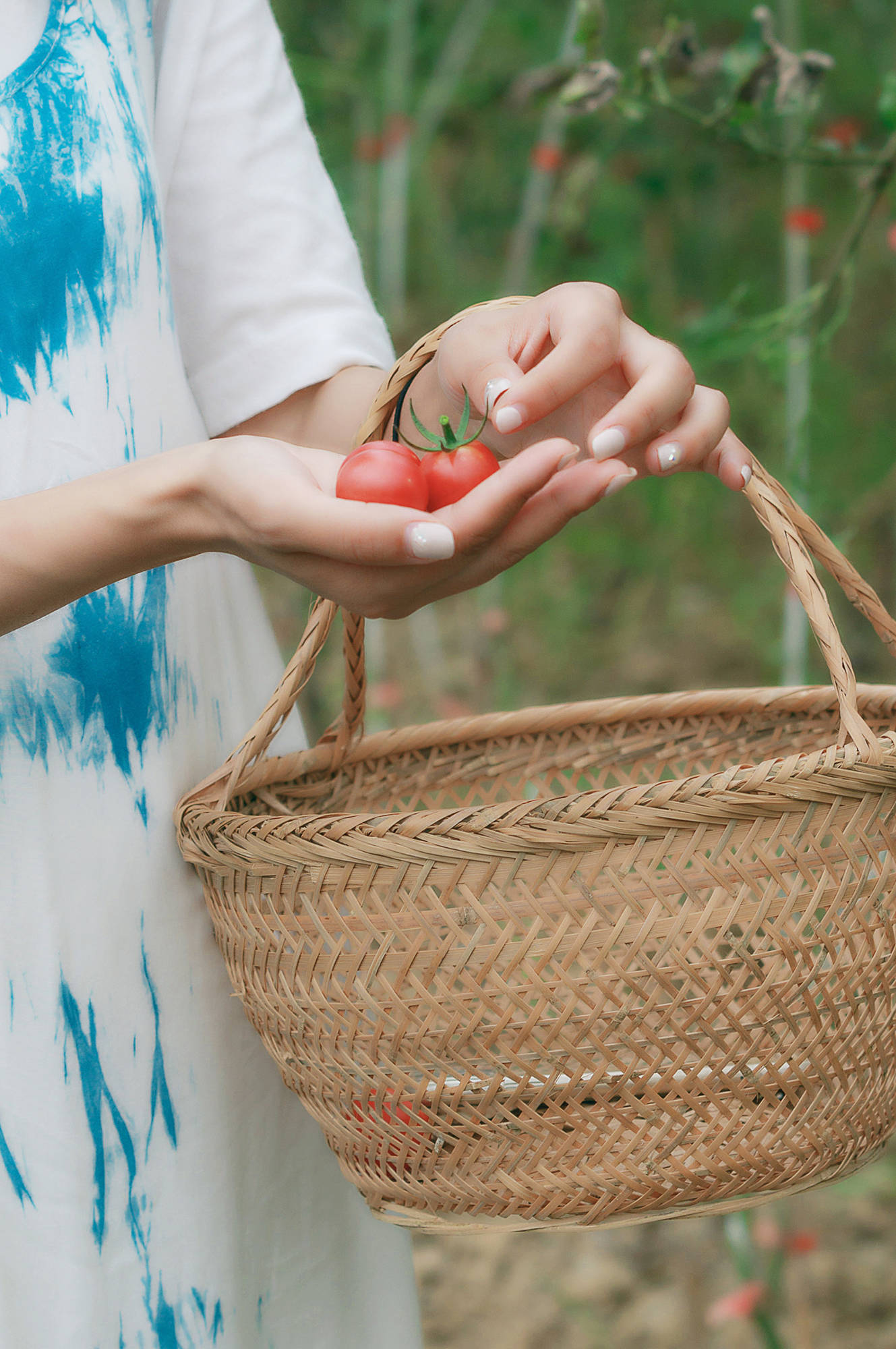女人|正是蜜桃成熟时，番茄、蓝莓是伴娘夏风掠过北太湖