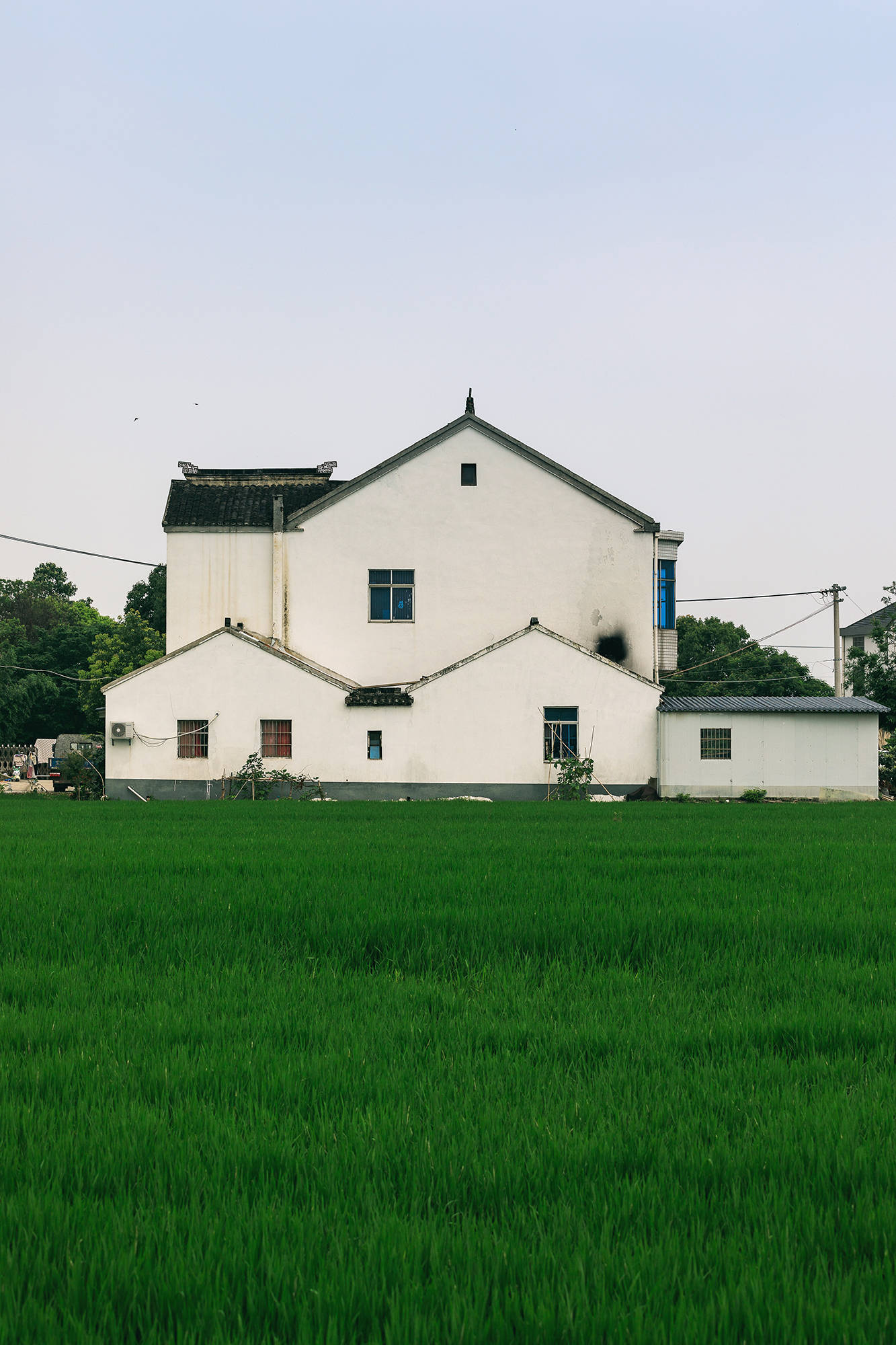 女人|正是蜜桃成熟时，番茄、蓝莓是伴娘夏风掠过北太湖