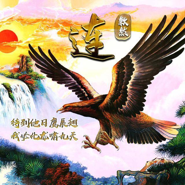 微信头像,天道酬勤雄鹰展翅励志姓氏头像,天高地阔任我翔!