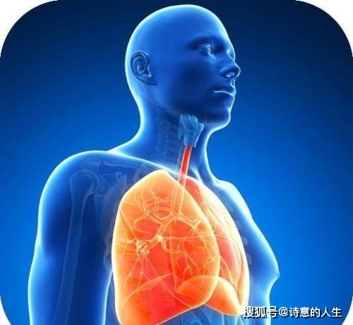 怎么增加肺部功能 f04311ee170e48828ae23d976c436b08.jpeg