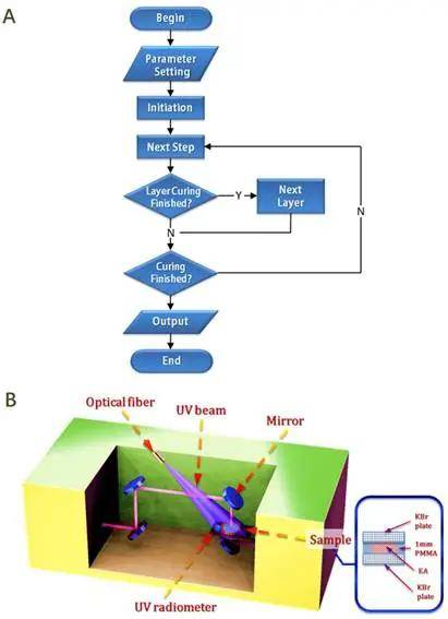 (a)光固化反应动力学计算模拟流程图(b)原位紫外光固化-红外光谱联用