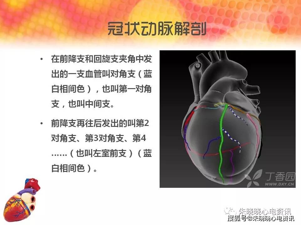 急性心肌梗死罪犯血管的心电图判断_定位