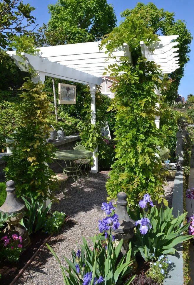 庭院管家打造现代英式花园适合选择搭配哪些植物