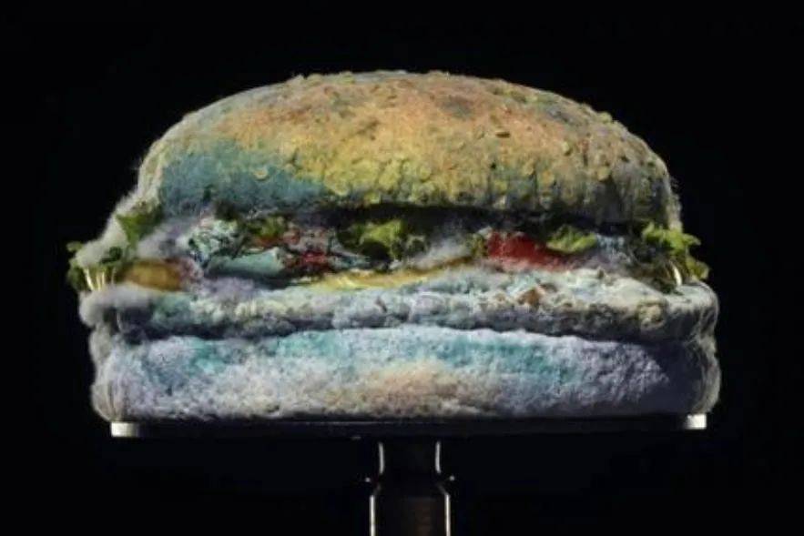 林建厦|熔喷布价格暴跌、趣头条未卜先知、葵花药业……关注这些事儿！