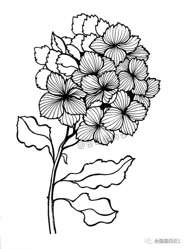 零基础的小白也可以画的简笔画,教你用1支笔画一簇花