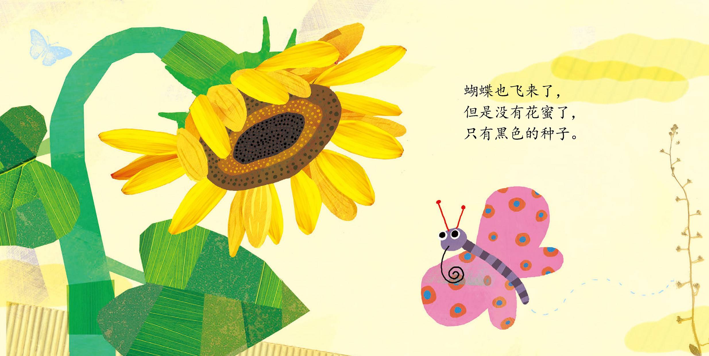 儿童绘本故事推荐《找到向日葵了》