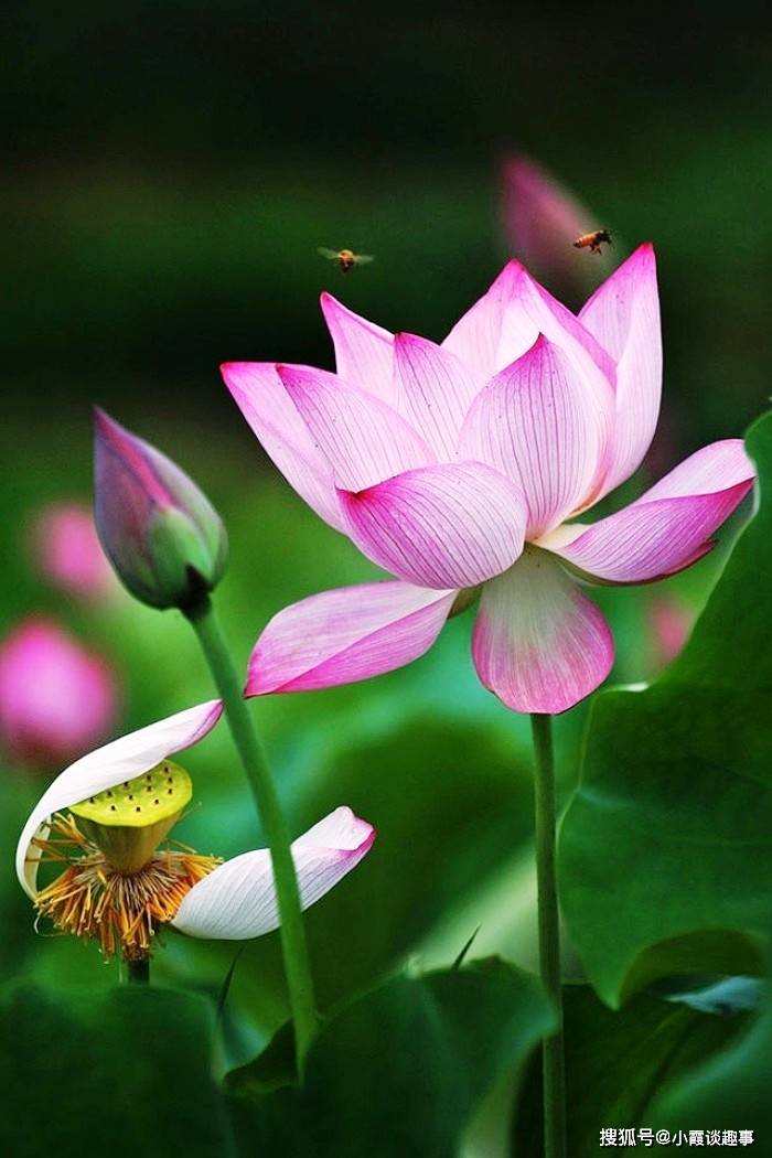 原创醒悟人生的句子,透过生死,才会明白健康的重要