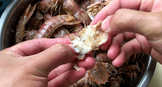 原创皮皮虾这样挑选一定没错,想剥出整块儿虾肉,就算没有工具也可以