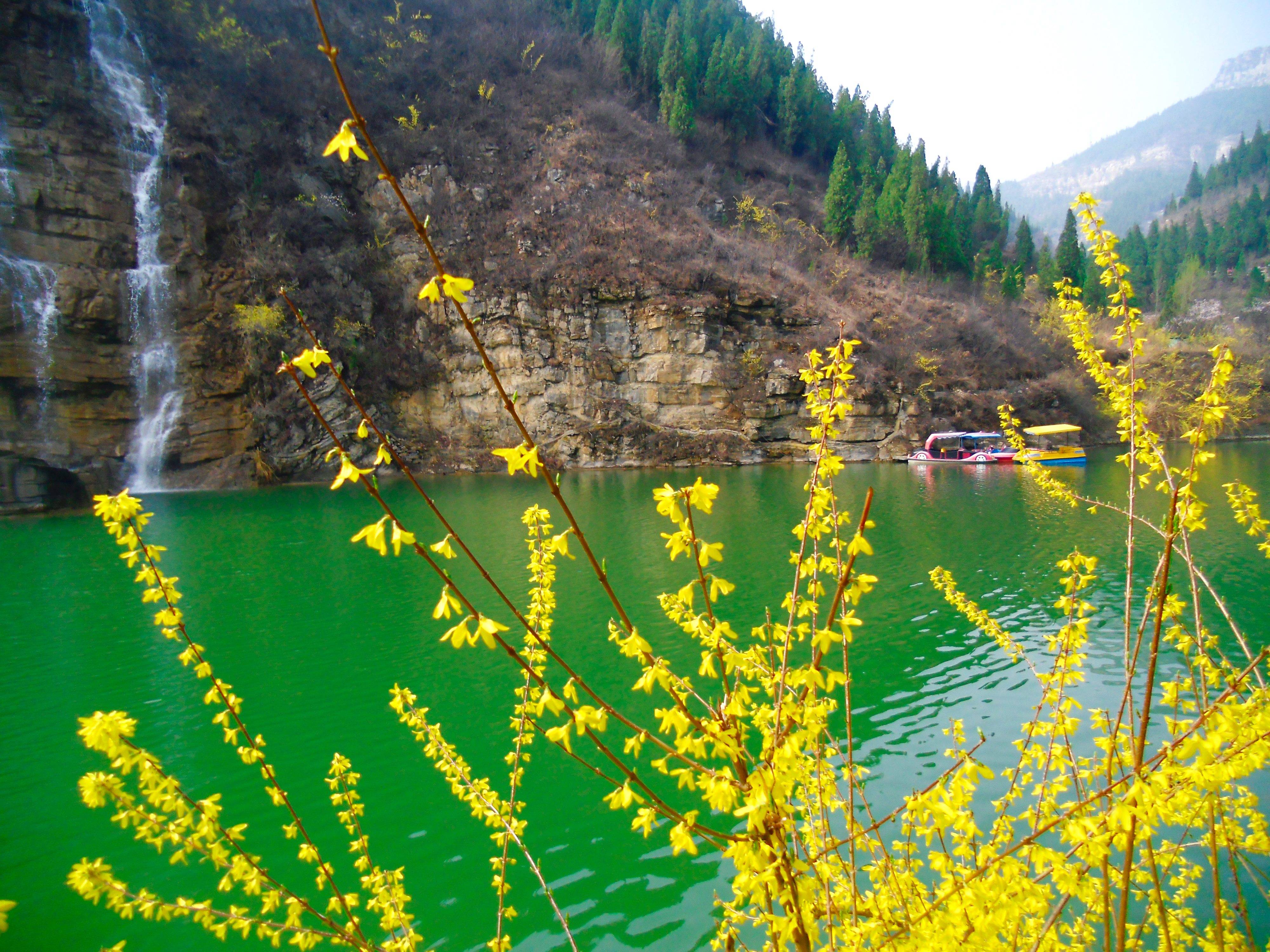 山东青州黄花溪