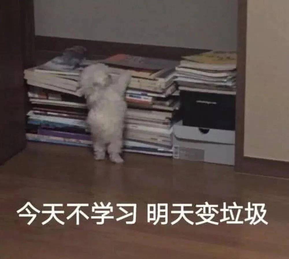 高级平面设计课程零基础学习秒变大神！