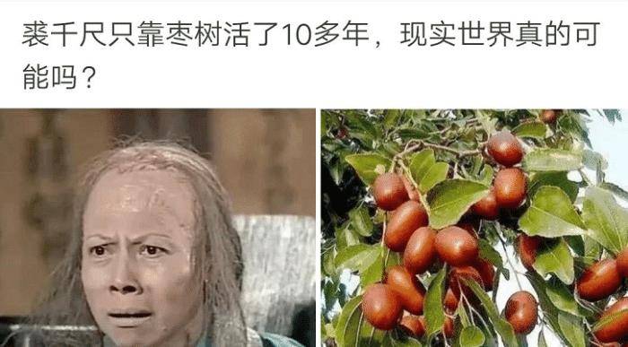什么人能吃十全大补丸 37bd931f9b524fc0ada0063ae649277a.jpeg