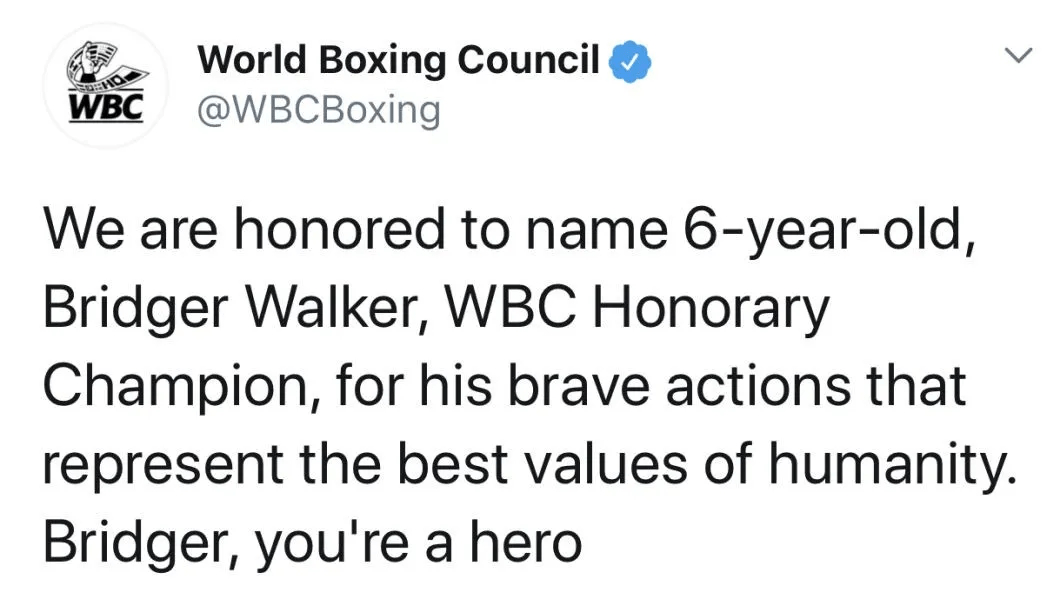 他是全球最年轻的拳王，美国6岁孩童获得WBC拳王头衔_布里克