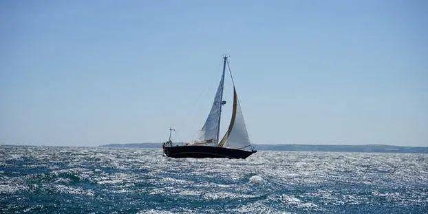 专业|千万别只看就业率！揭秘选专业门道！这些因素更重要...